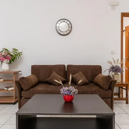 Family House Of Naxos 1 Apartment *
